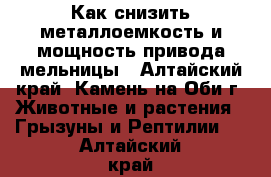 Как снизить металлоемкость и мощность привода мельницы - Алтайский край, Камень-на-Оби г. Животные и растения » Грызуны и Рептилии   . Алтайский край